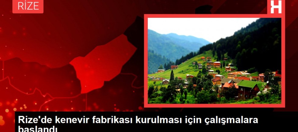 Rize'de kenevir fabrikası kurulması için çalışmalara başlandı