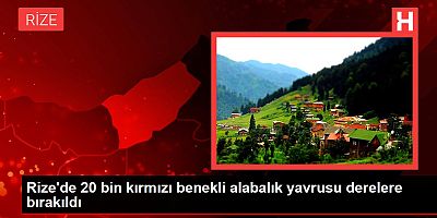 Rize'de 20 bin kırmızı benekli alabalık yavrusu derelere bırakıldı